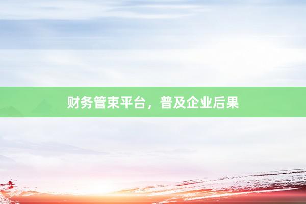 财务管束平台，普及企业后果